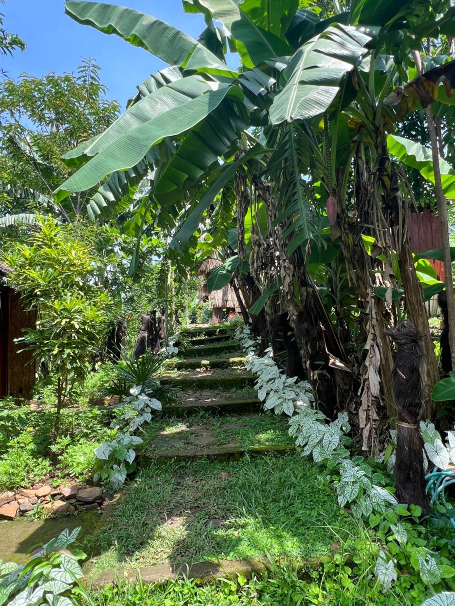 Sten Lodge Labuan Bajo Dış mekan fotoğraf