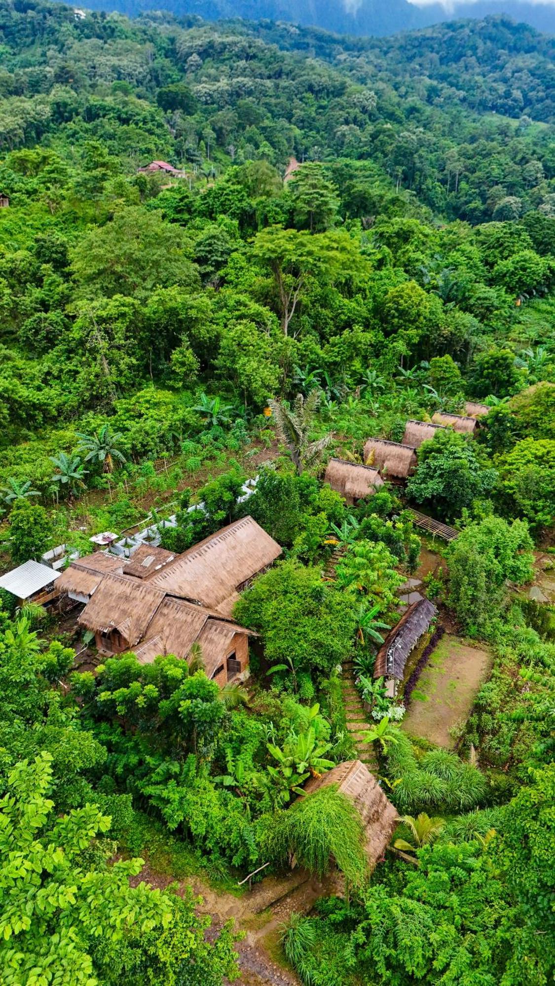 Sten Lodge Labuan Bajo Dış mekan fotoğraf